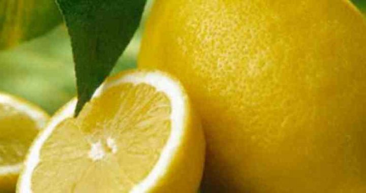 Come conservare i limoni e mantenerli freschi