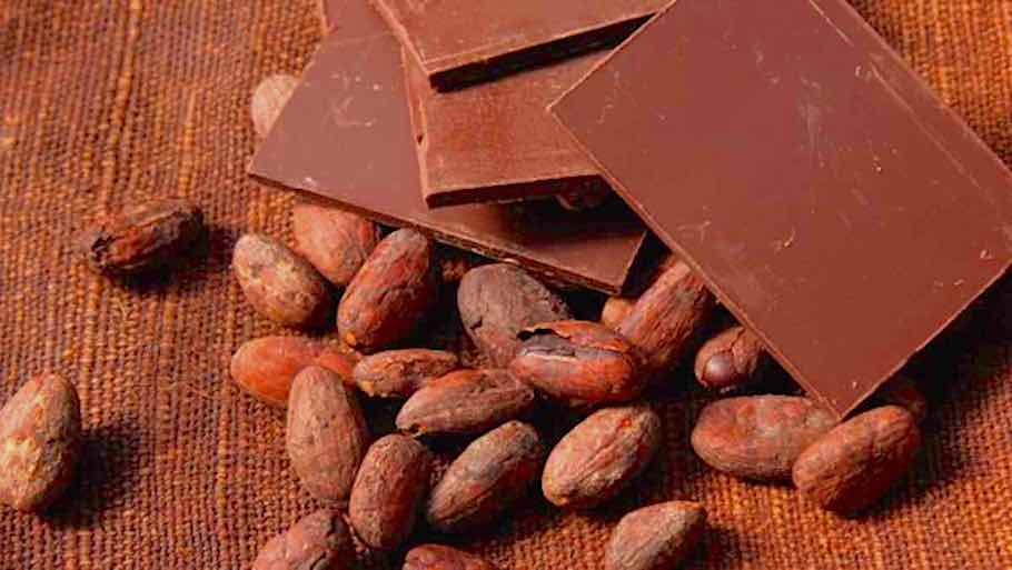 I composti antiossidanti nel cacao
