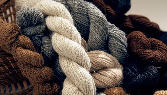 Importanti marchi di moda tagliano rapporti con produttore lana di alpaca