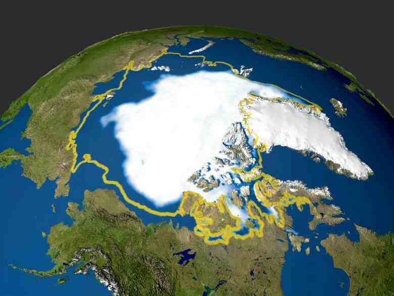 Artico orientale, Scienziati sollecitano intensificare sforzi di conservazione