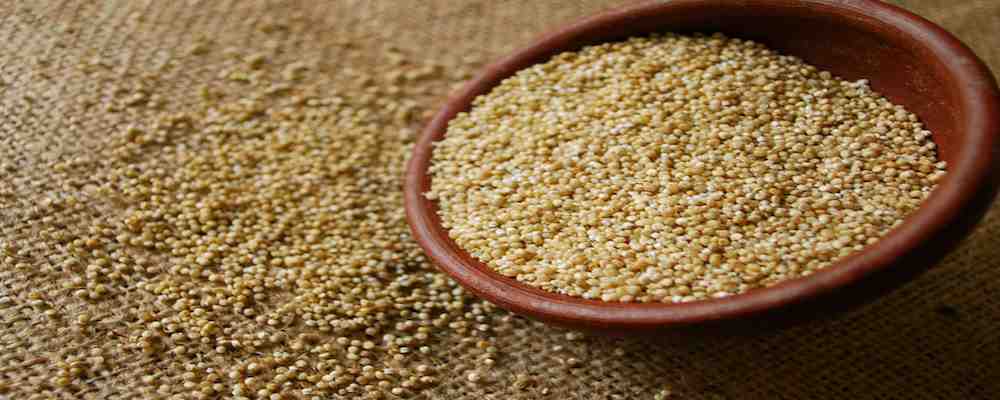 Quinoa. Un alimento completo, ma costoso