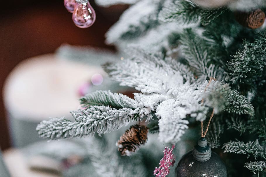 Quando rimuovere le decorazioni, il presepe e albero di Natale