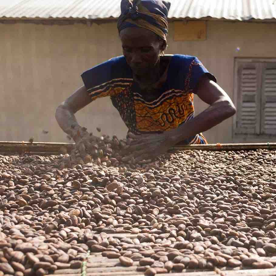 Costa d’Avorio inaugura impianto lavorazione cacao